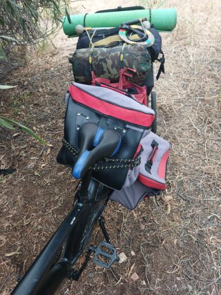 Bicicleta eléctrica y remolque de mascota