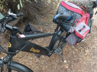Bicicleta eléctrica y remolque de mascota
