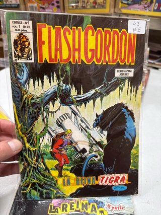 Flash Gordon Lote 10 Números Vértice