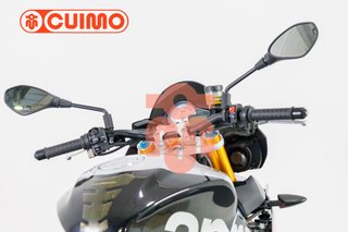 APRILIA TUONO V4 1100 FACTORY