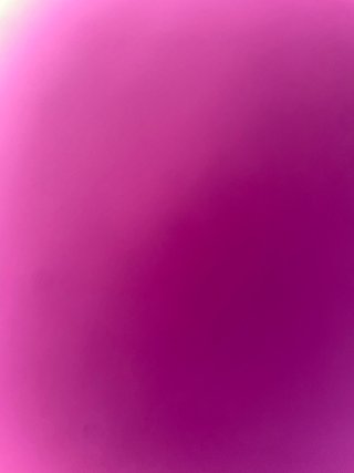 Hola! Busco gestor digital!