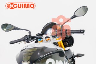 APRILIA TUONO V4 1100 FACTORY