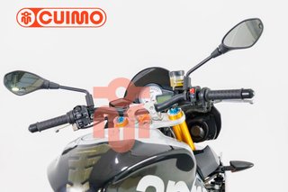 APRILIA TUONO V4 1100 FACTORY