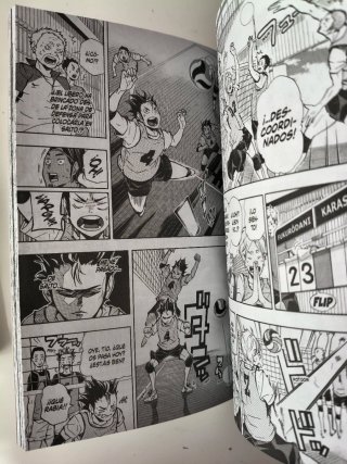 Haikyu!! Manga
