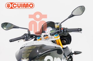 APRILIA TUONO V4 1100 FACTORY
