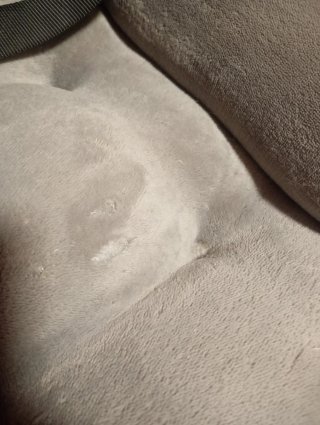 Cama/sillón para perro gris