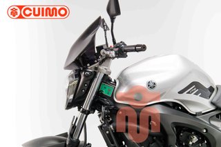YAMAHA FZ6 N