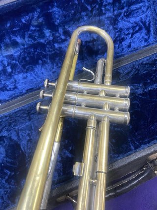 Trompeta J Michael Sib
