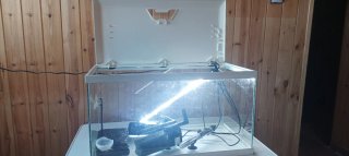 Acuario para peces o tortugas