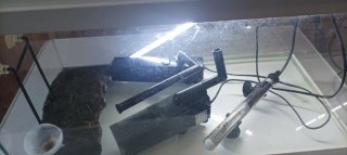 Acuario para peces o tortugas