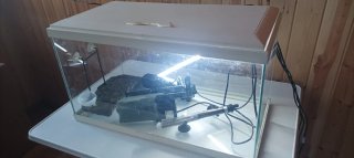 Acuario para peces o tortugas