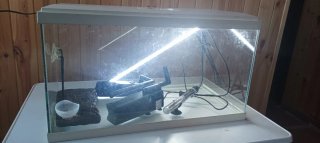 Acuario para peces o tortugas