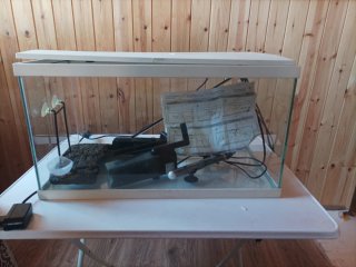 Acuario para peces o tortugas