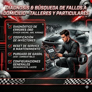 Diagnosis Coche & Búsqueda de fallos - Domicilio