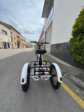 Triciclo Eléctrico Mooncool TK1
