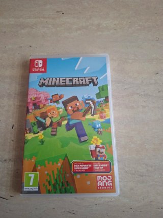 Minecraft Nintendo Switch