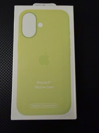 Funda iPhone 17 Silicone Case MagSafe