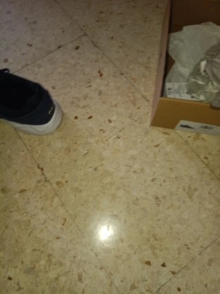 Zapatillas Fila Azul y Blanco