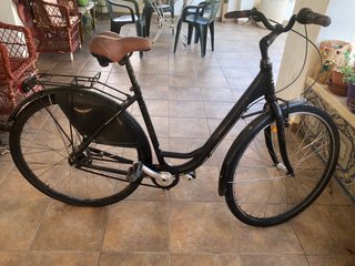 Bicicleta Holandesa