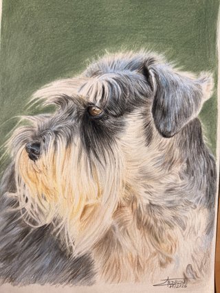 Dibujos de mascota