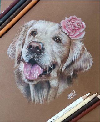 Dibujos de mascota