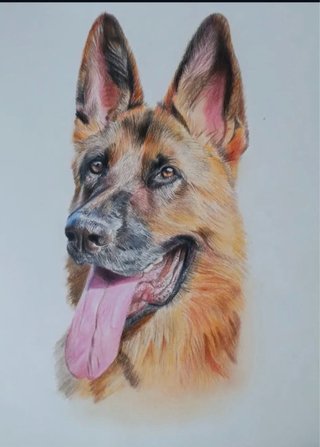 Dibujos de mascota