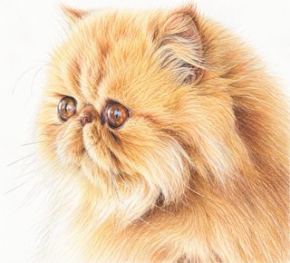 Dibujos de mascota