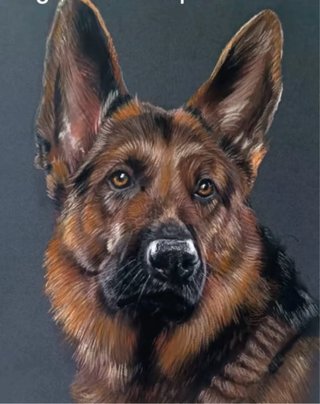 Dibujos de mascota