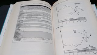 Beat the Odds in Forex Trading How to Identify ...