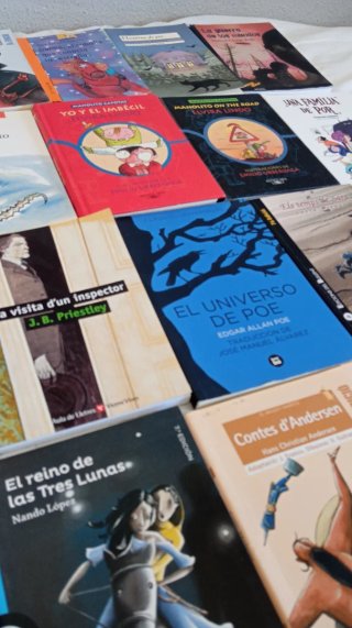 Lote Libros Infantil y Juvenil Varios Idiomas