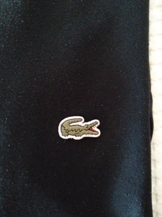 Sudadera Lacoste Negra Chico
