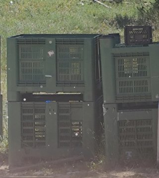 Palots de plástico verdes