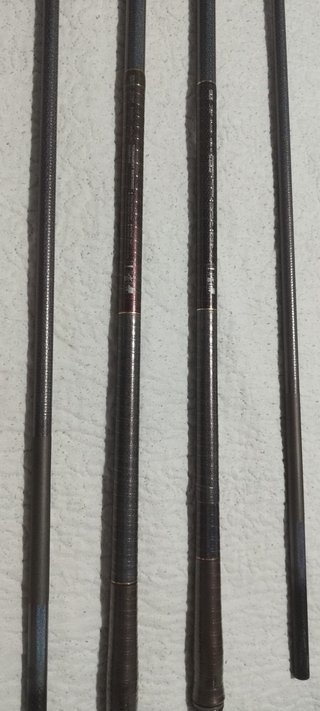 Cañas Daiwa Tournament Masterise-2