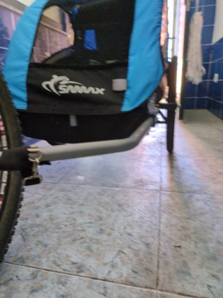 Remolque bici para niños (2 plazas)