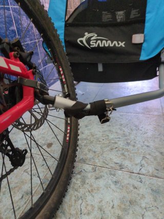 Remolque bici para niños (2 plazas)