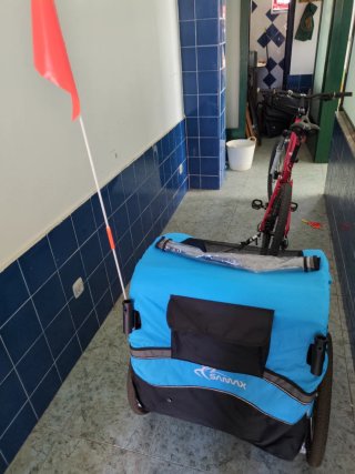 Remolque bici para niños (2 plazas)