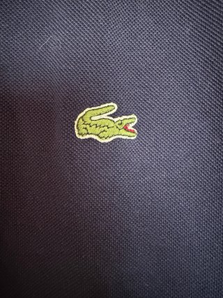 Polo Lacoste Azul Marino Talla L