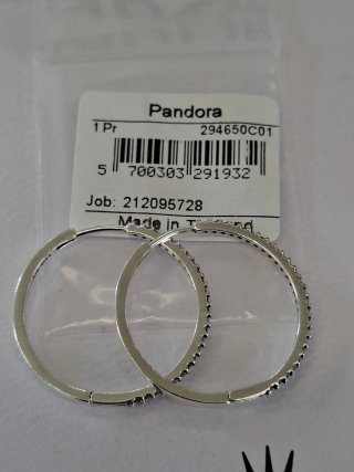Orecchini Pandora Cerchio Sparkling 294650C01 ZYQ