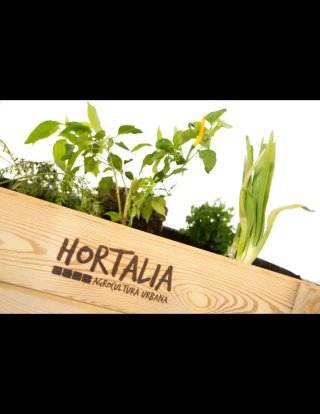Mesa de cultivo GardenBrico 120x80x40 cm madera exterior 160L