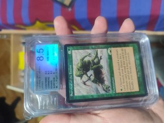Survival of the Fittest MTG Carta 8.5 NM-MINT