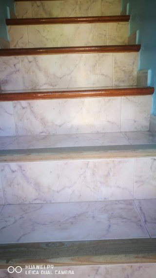 PINTOR PROFESIONAL