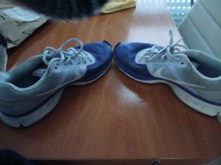 40"Nike Morado/Blanco Usadas Talla 40"