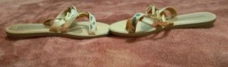 Sandalias Ipanema Planas Beige Multicolor