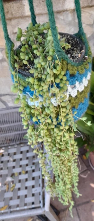 Suculenta Collar de Perlascon colgante Crochet