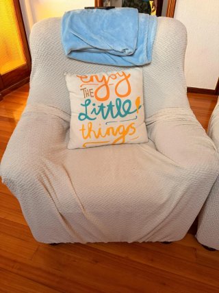 Sofá y sillón beige tela