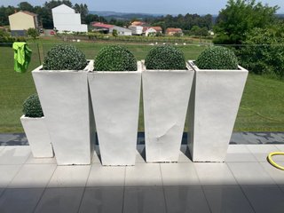 Necesitan una mano de pintura.Bolas incluidas