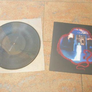 ROSE VILLAIN -Radio Vega -PICTURE DISC -Firmato