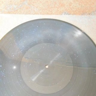 ROSE VILLAIN -Radio Vega -PICTURE DISC -Firmato