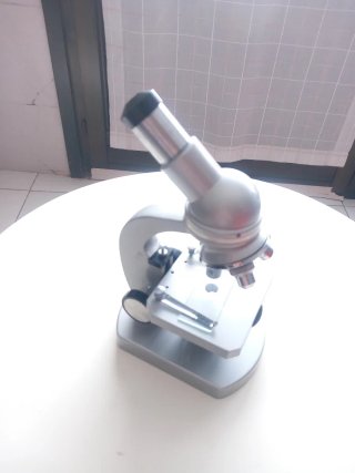 Microscopio Stein Optik 900x Anni '80
