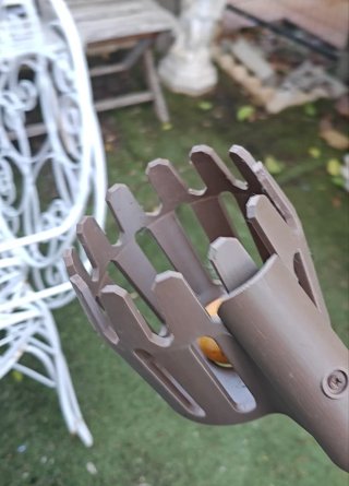 Recolector de Fruta